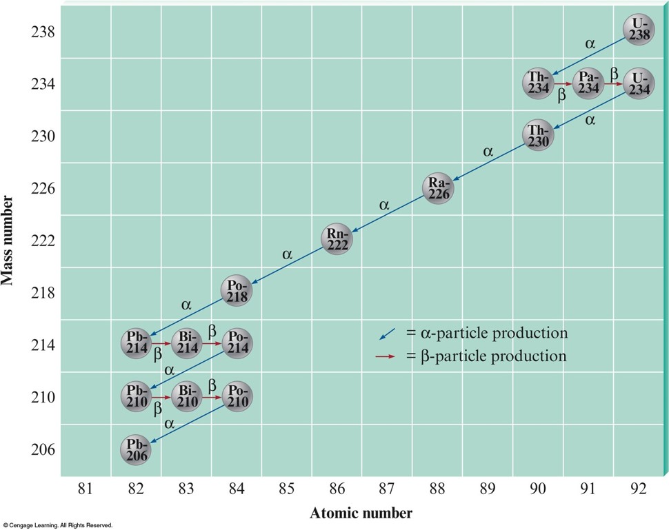 A plot of mass number versus atomic number showing the steps in the path from uranium-238 to lead-206. Each step is showing how the atomic number and mass number are changing with different alpha and beta decay. These steps are in the following tables.